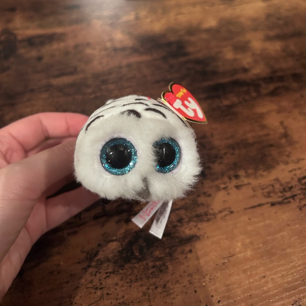 Teeny Ty’s Owl Toy